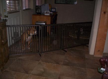 portable dog fence